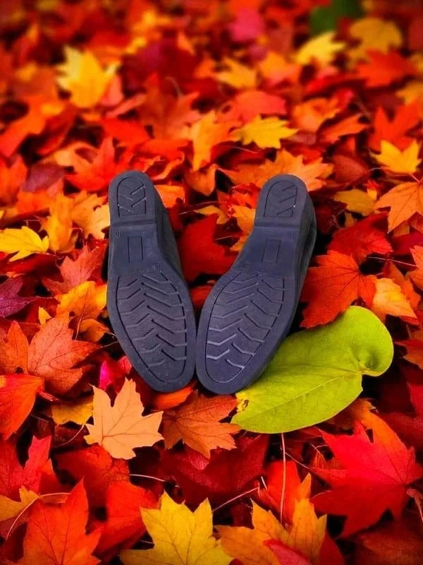 Derbies détente largeur confort cuir Noir pointure 40